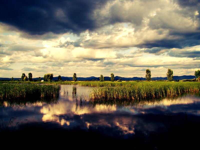 Stormy sky over a marsh