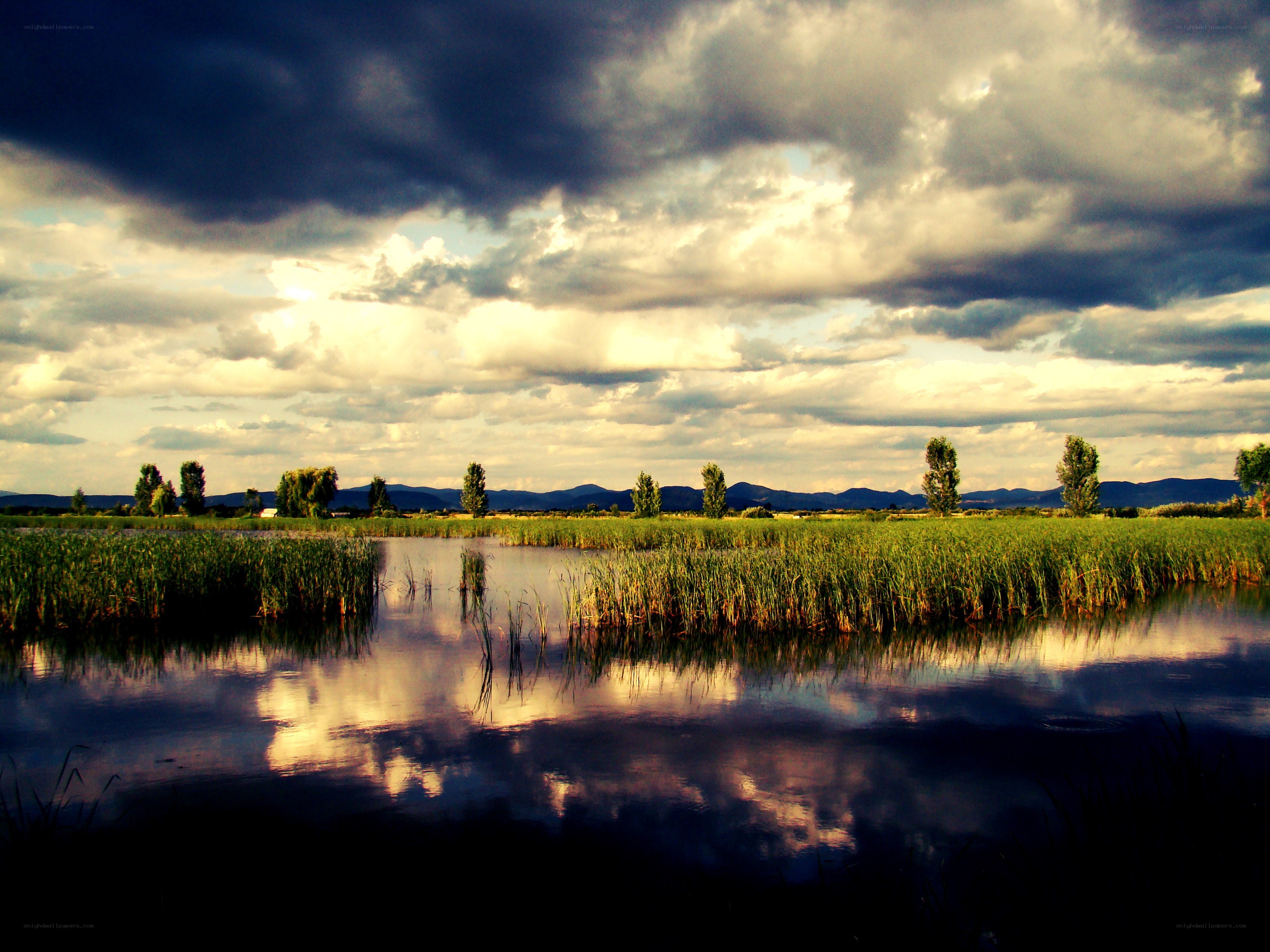 Stormy sky over a marsh