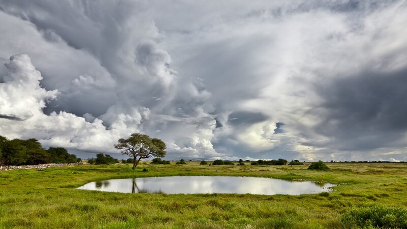 Stormy sky over a savanna pond