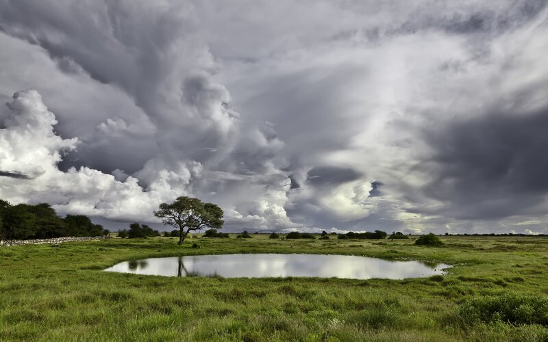 Stormy sky over a savanna pond
