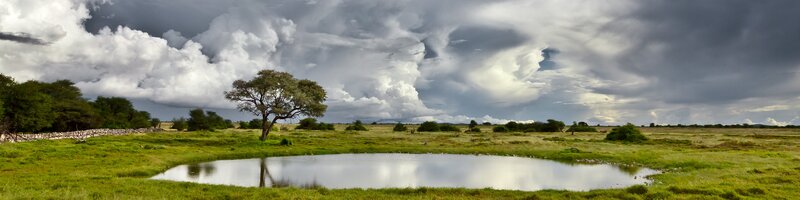 Stormy sky over a savanna pond