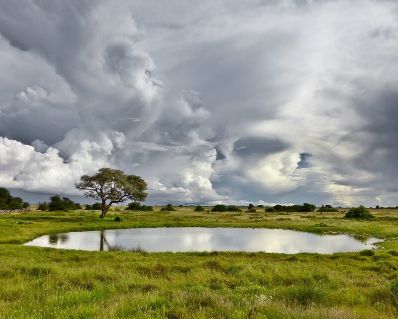 Stormy sky over a savanna pond
