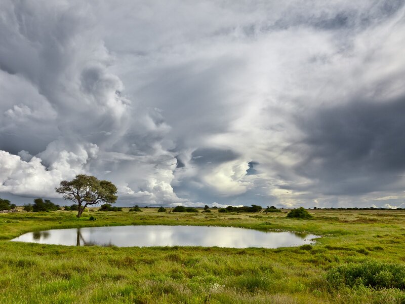 Stormy sky over a savanna pond