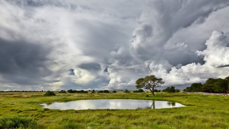 Stormy sky over a savanna pond