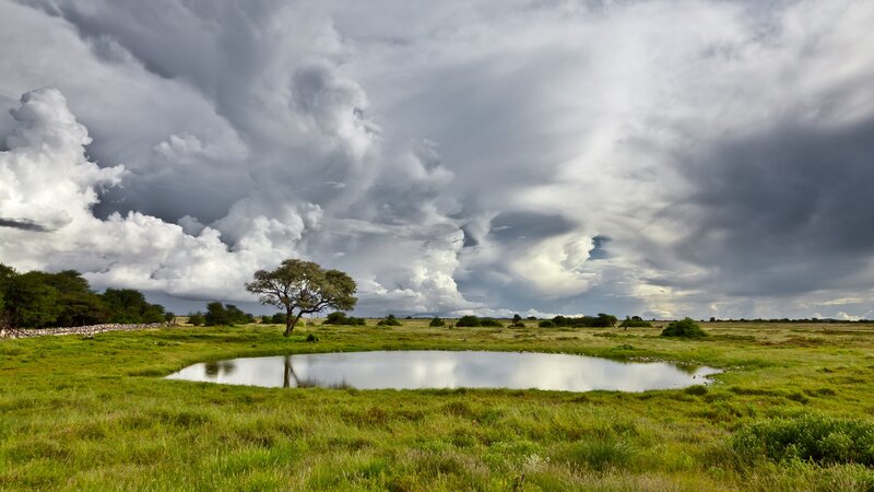 Stormy sky over a savanna pond