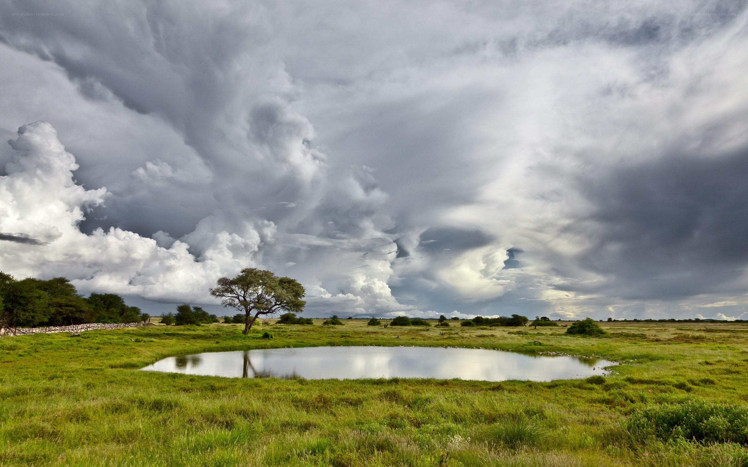 Stormy sky over a savanna pond