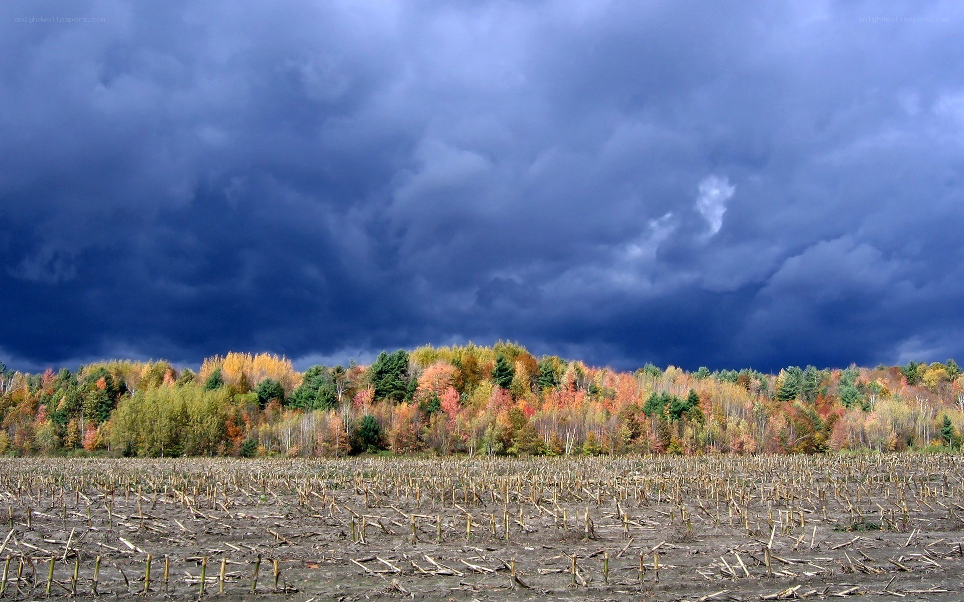 Stormy sky over autumn field