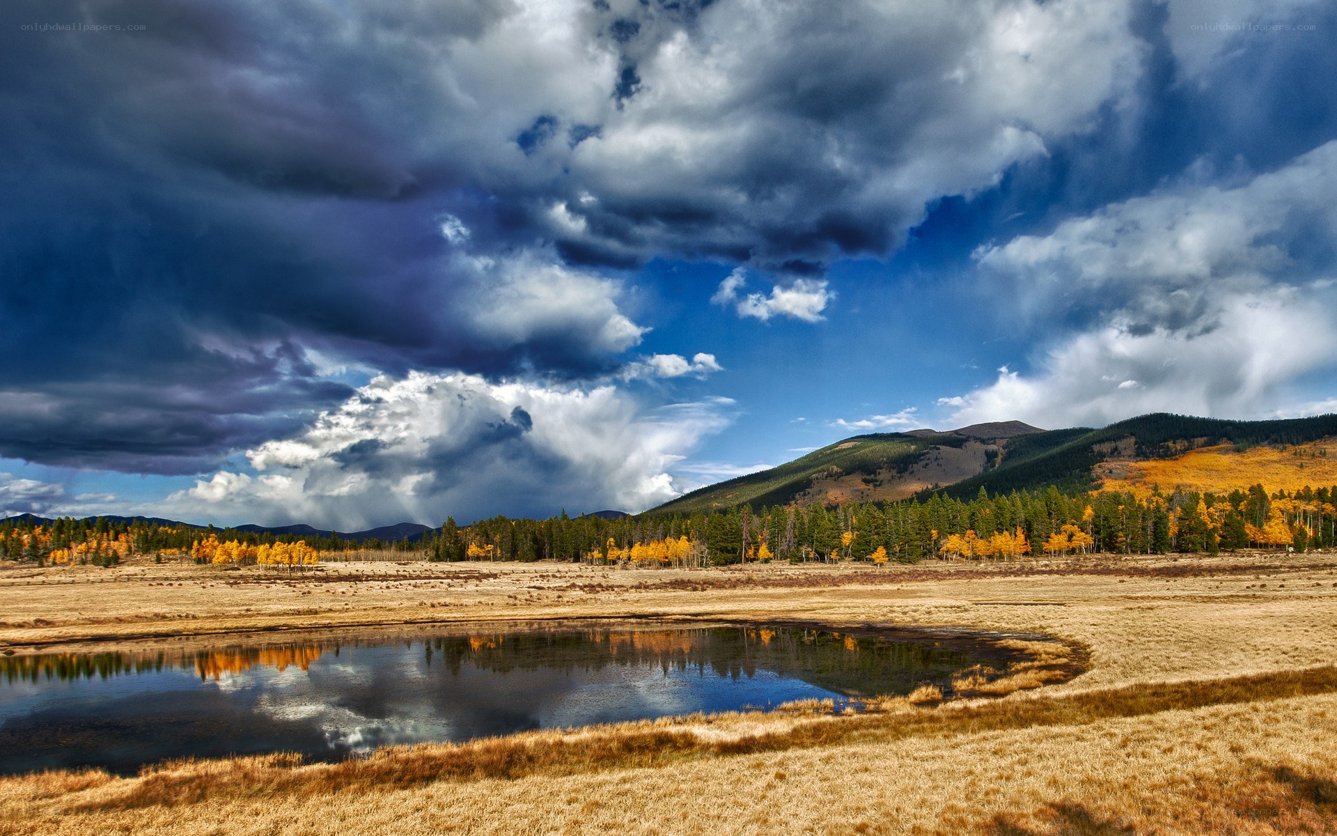 Stormy sky over autumn marsh