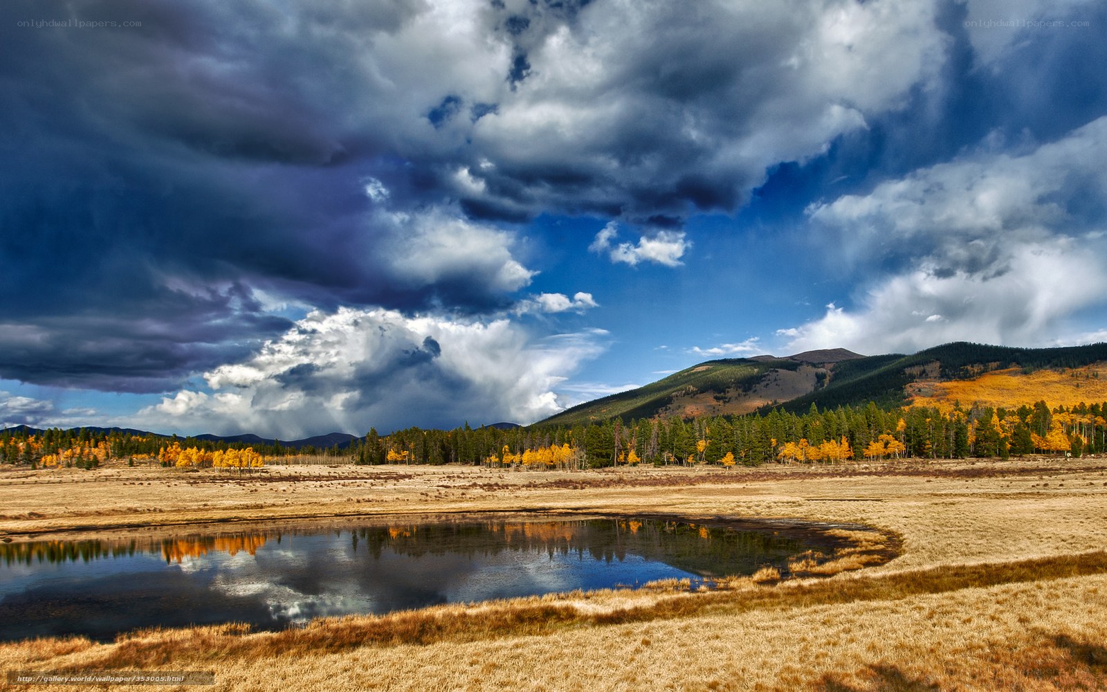 Stormy sky over autumn marsh