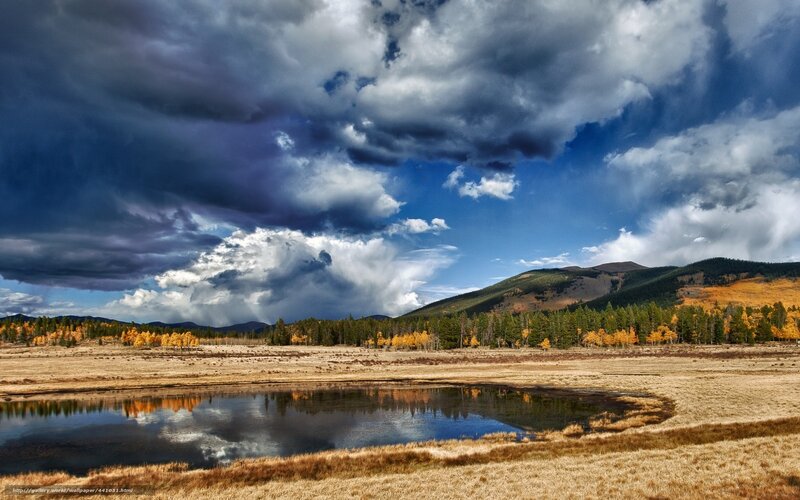 Stormy sky over autumn wetland
