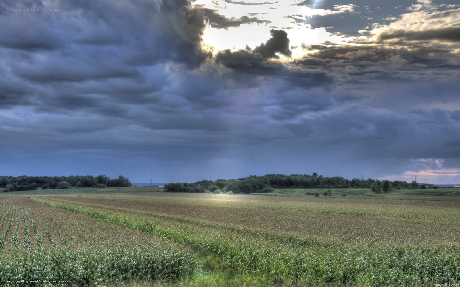 Stormy sky over farmland