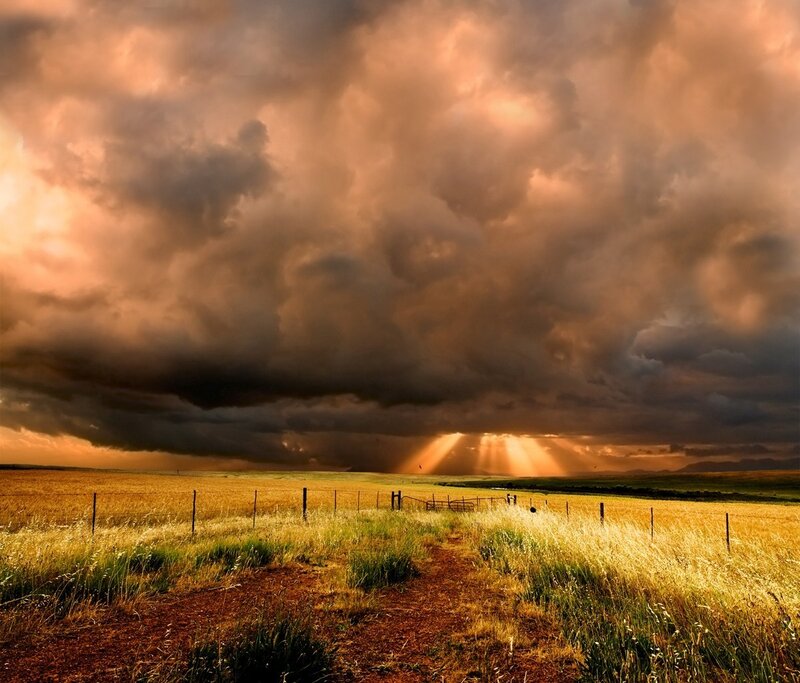 Stormy Sky over Field — Brown, Dramatic
