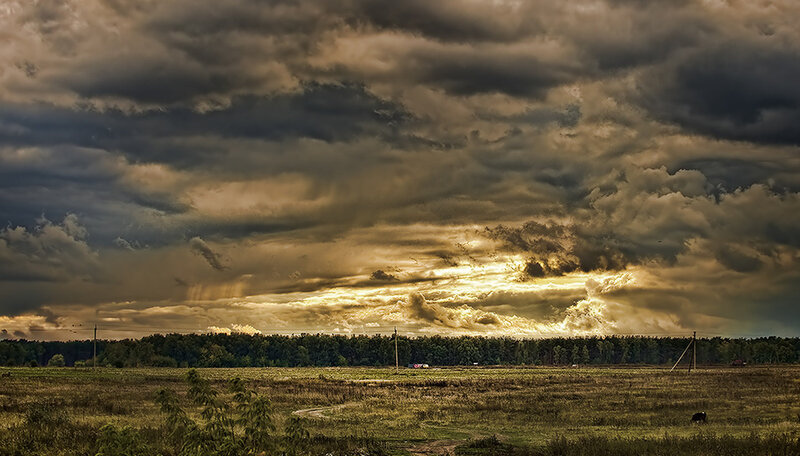 Stormy Sky over Field — Gray, Dramatic, Sunset, Photograph