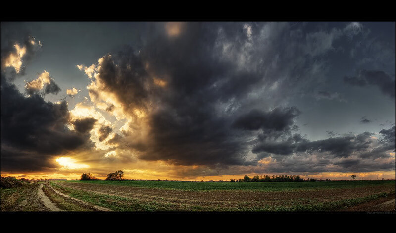 Stormy Sky over Field — Gray