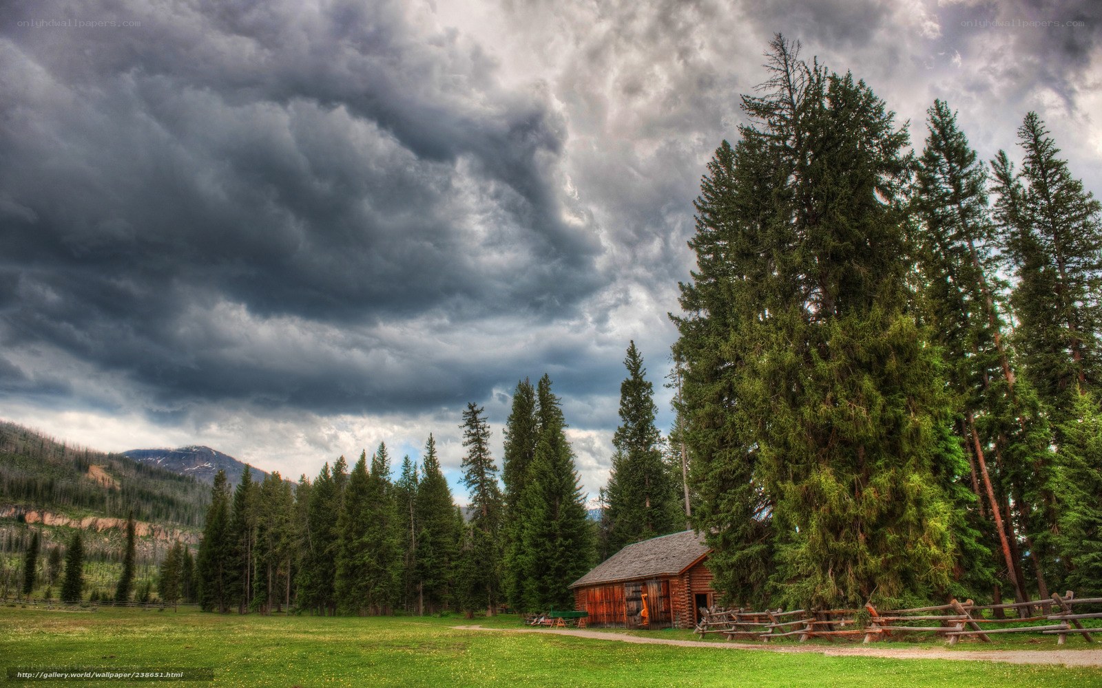 Stormy sky over forest cabin
