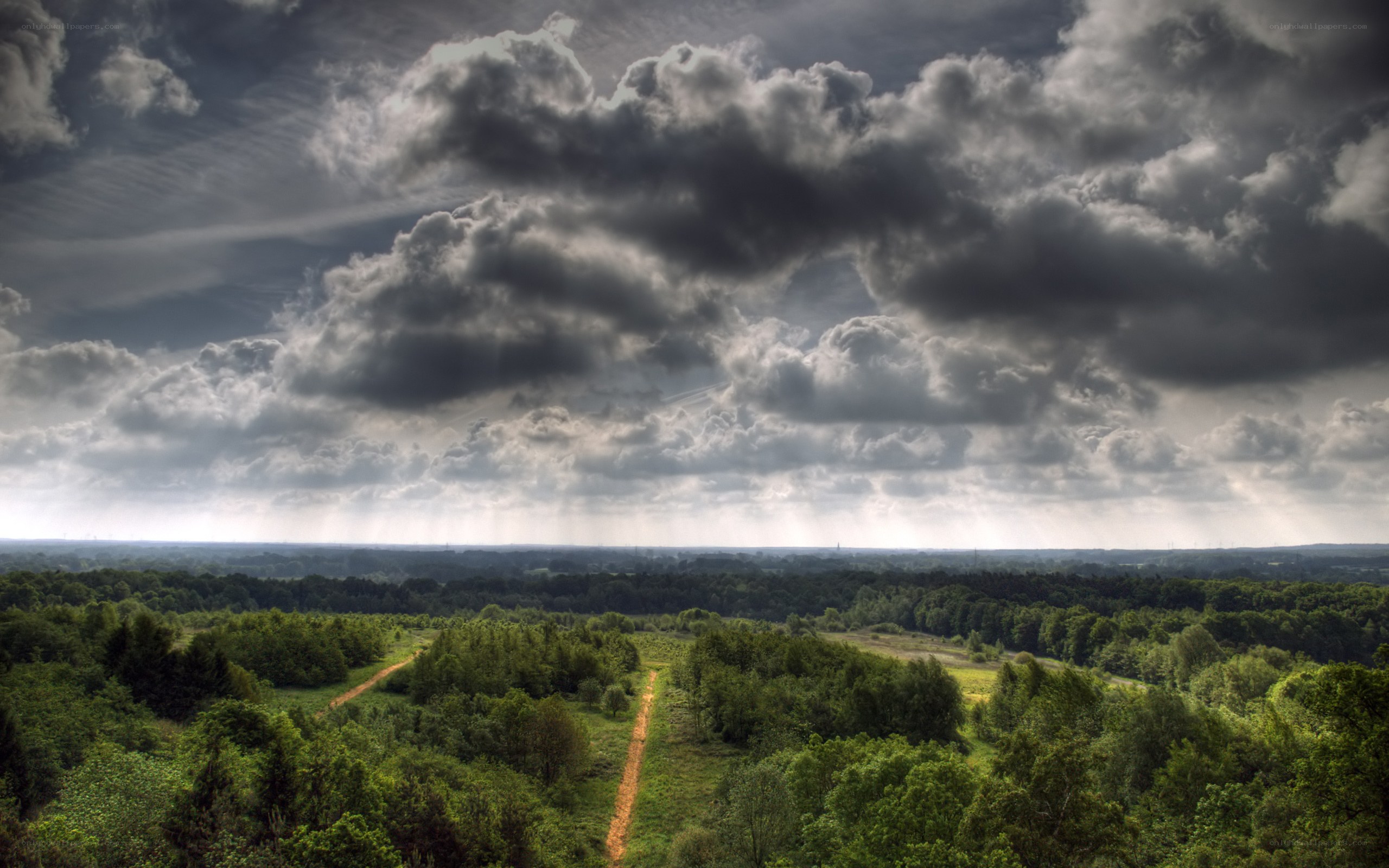 Stormy sky over forest landscape