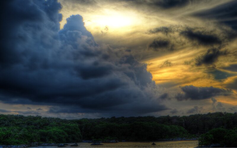 Stormy Sky over Forest