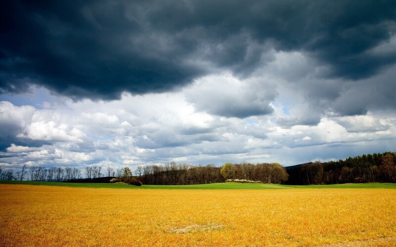 Stormy sky over golden field