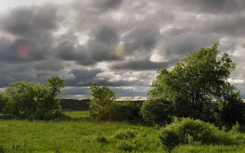 Stormy sky over green field