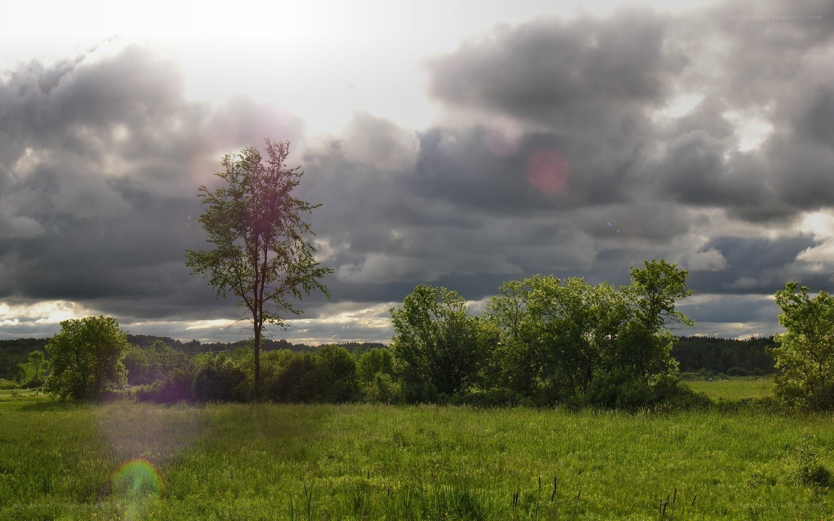 Stormy sky over green field