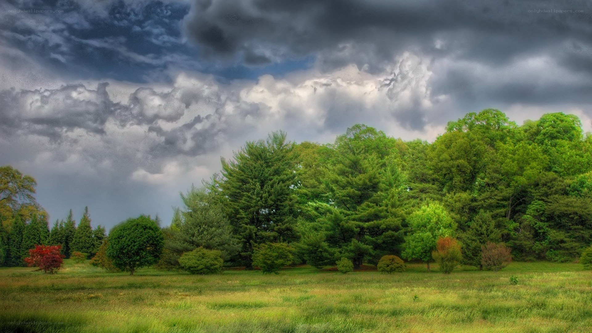 Stormy sky over green field