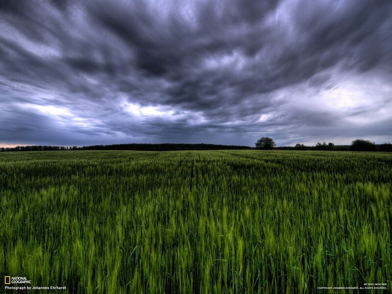 Stormy sky over green field