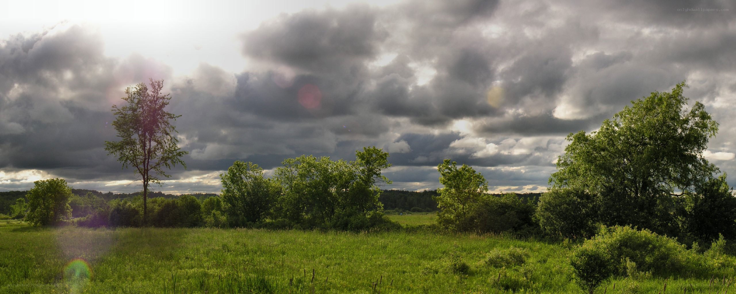 Stormy sky over green field