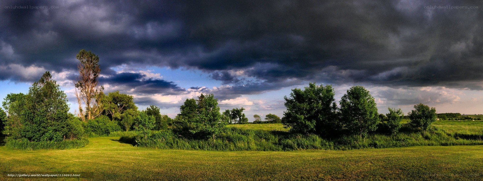 Stormy sky over green field