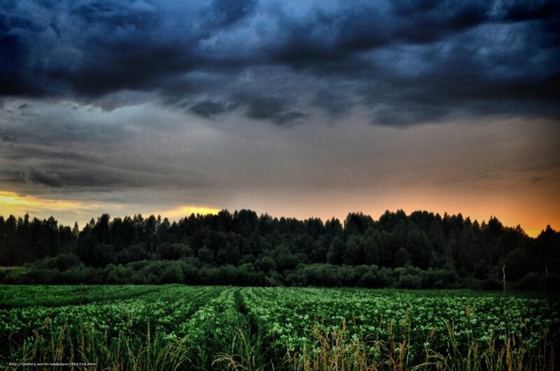 Stormy Sky Over Green Fields