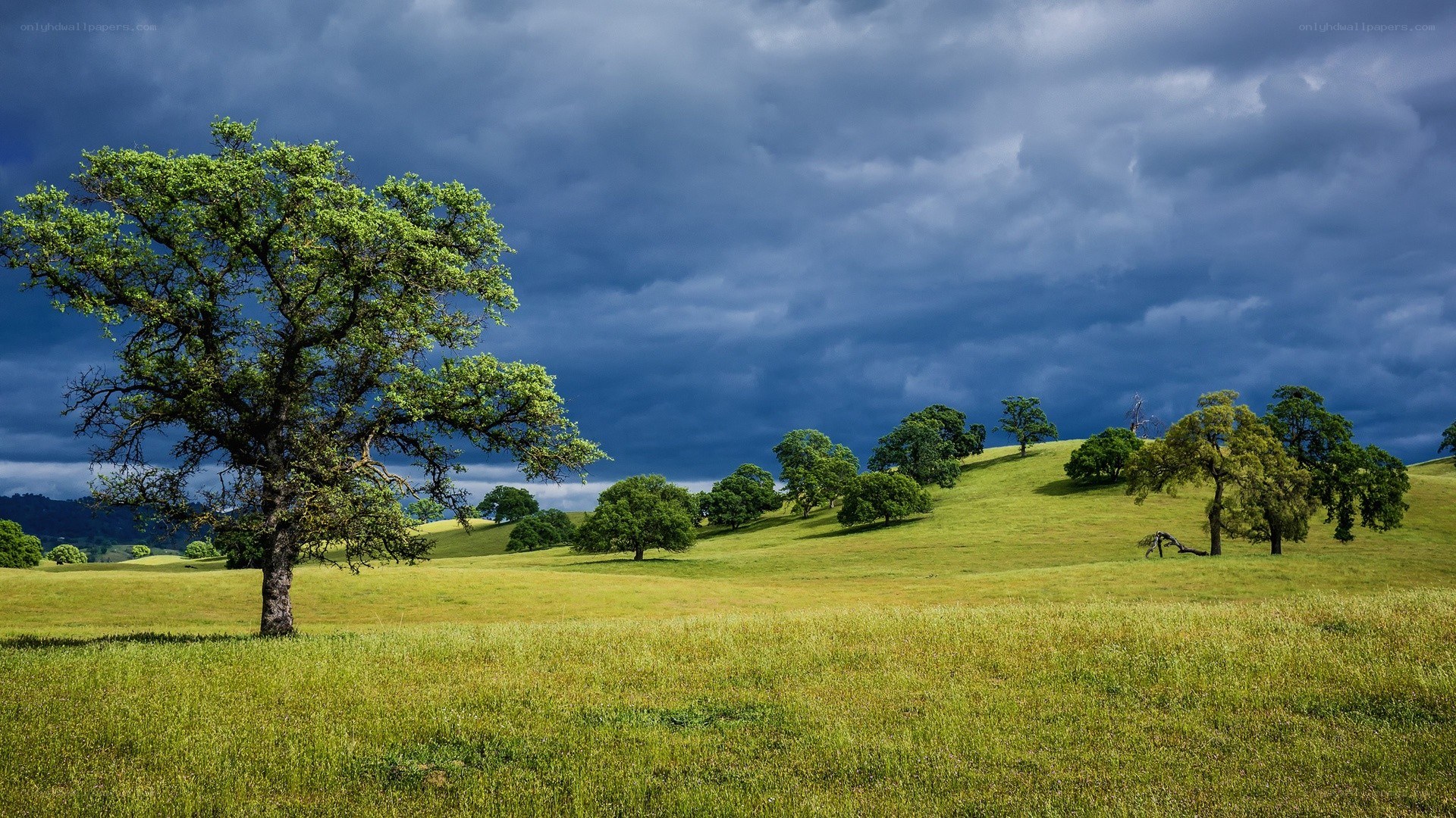 Stormy sky over green hills