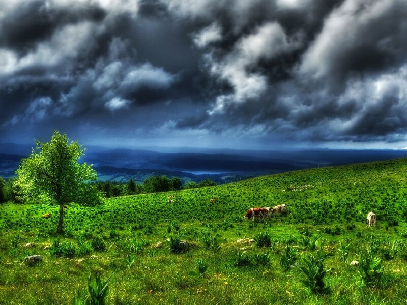 Stormy sky over green pasture