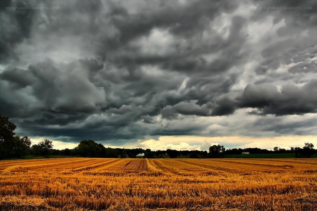 Stormy sky over harvested field
