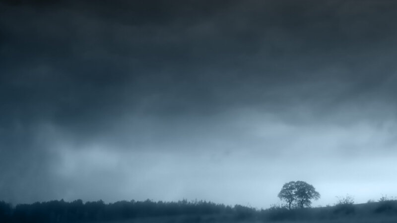 stormy sky over lone tree