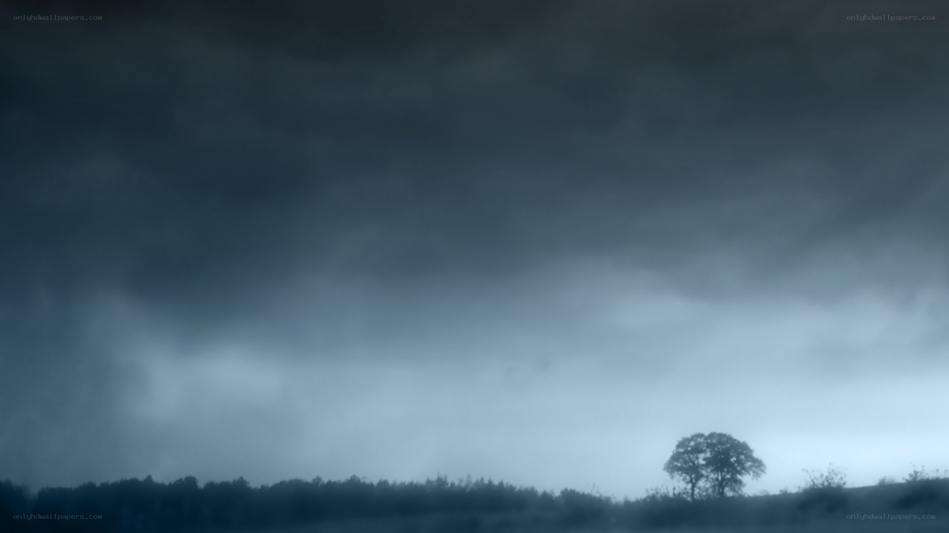 stormy sky over lone tree