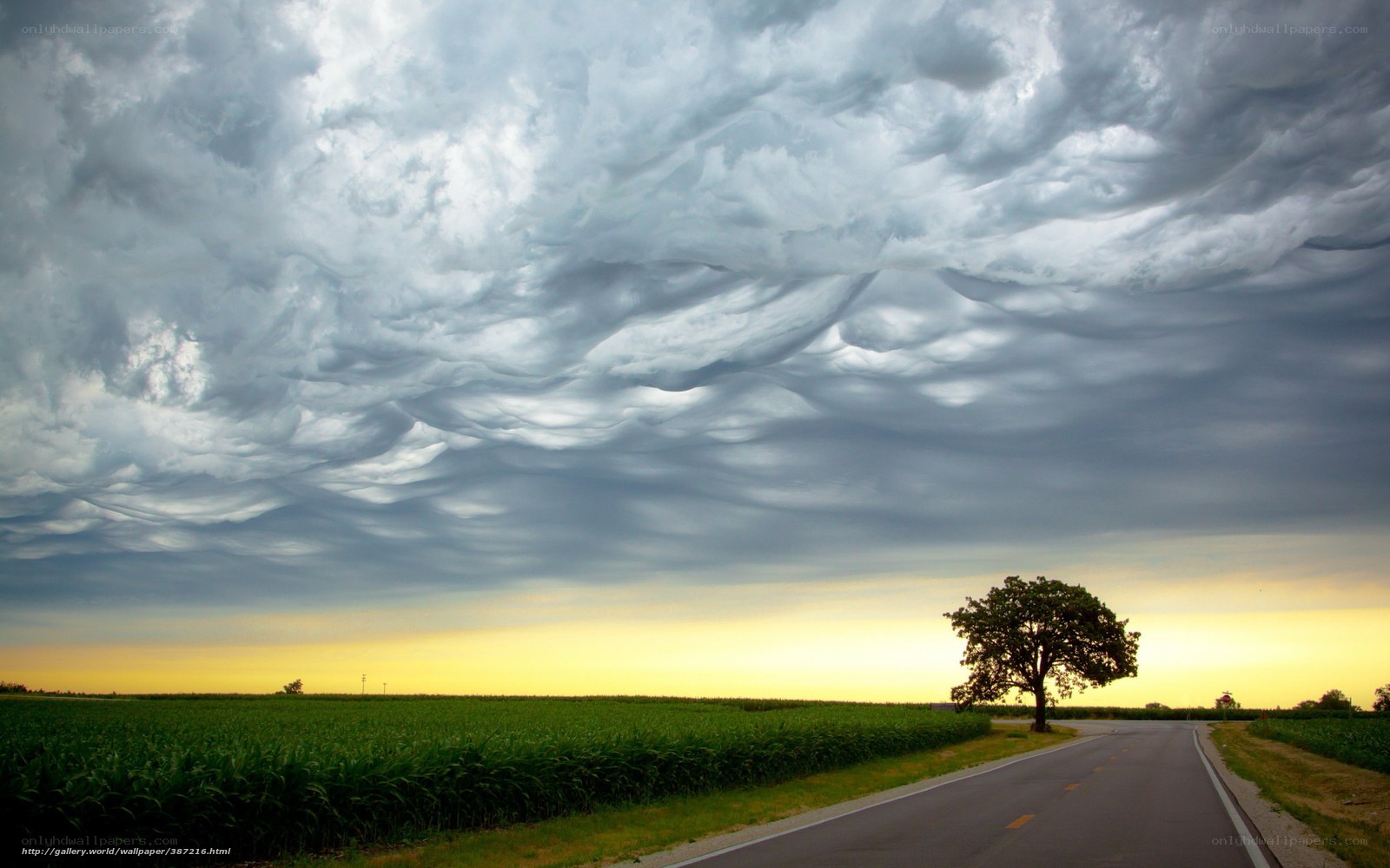 Stormy sky over rural road