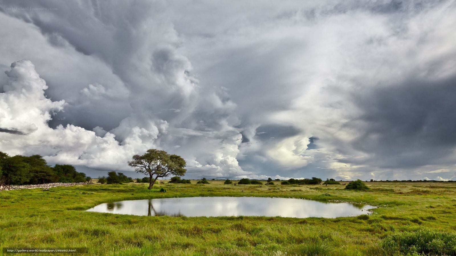 Stormy sky over savanna pond