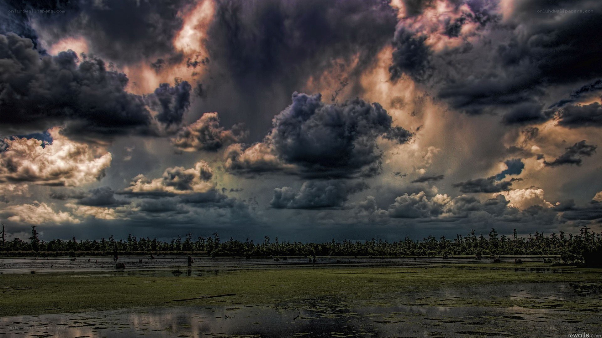 Stormy sky over swamp