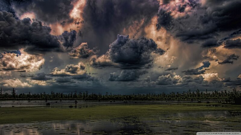 Stormy Sky over Swamp — Gray