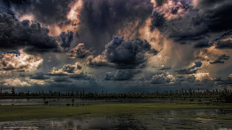 Stormy sky over swamp