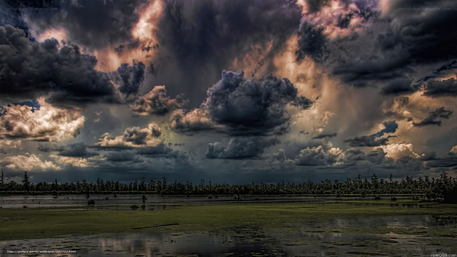 Stormy sky over swamp