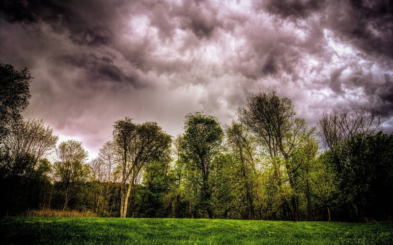 Stormy Sky over Trees — Green