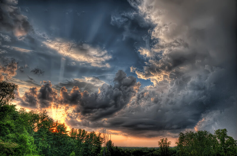 Stormy Sky over Trees