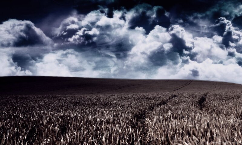 Stormy sky over wheat field