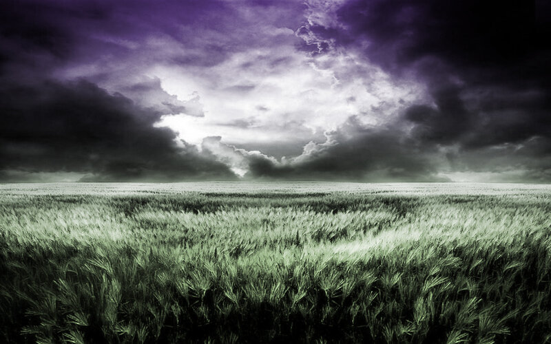 Stormy sky over wheat field