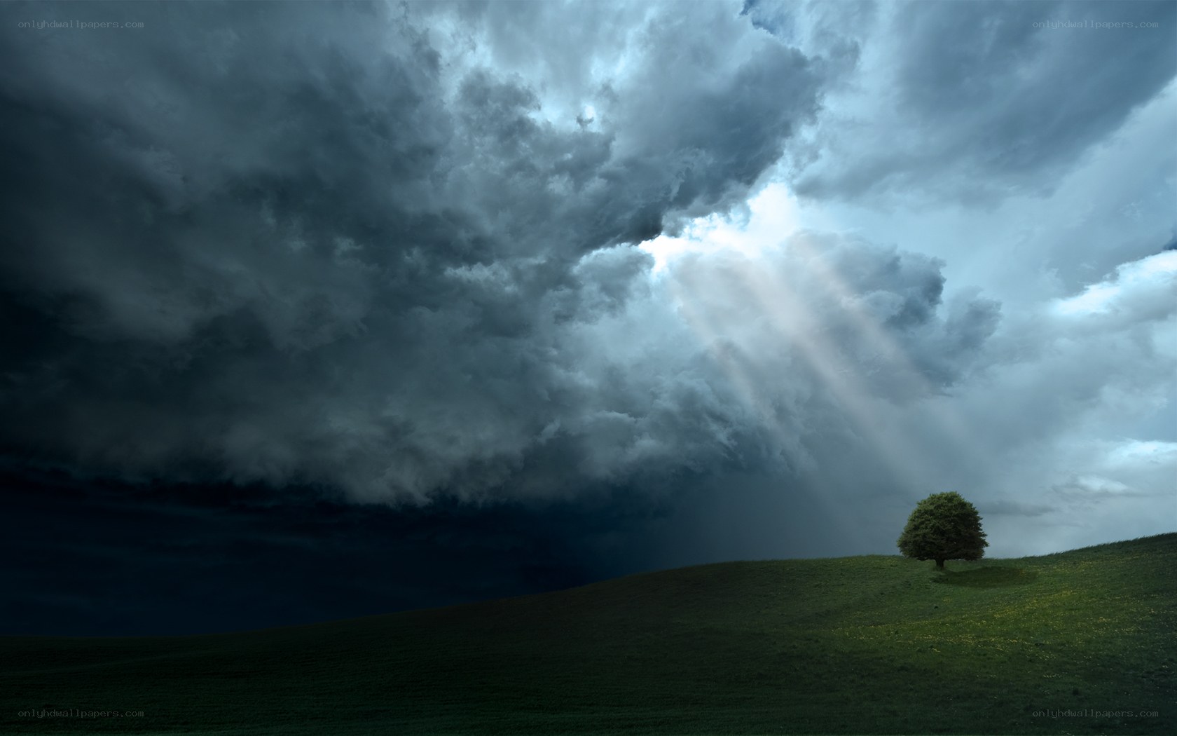 Stormy sky with single tree