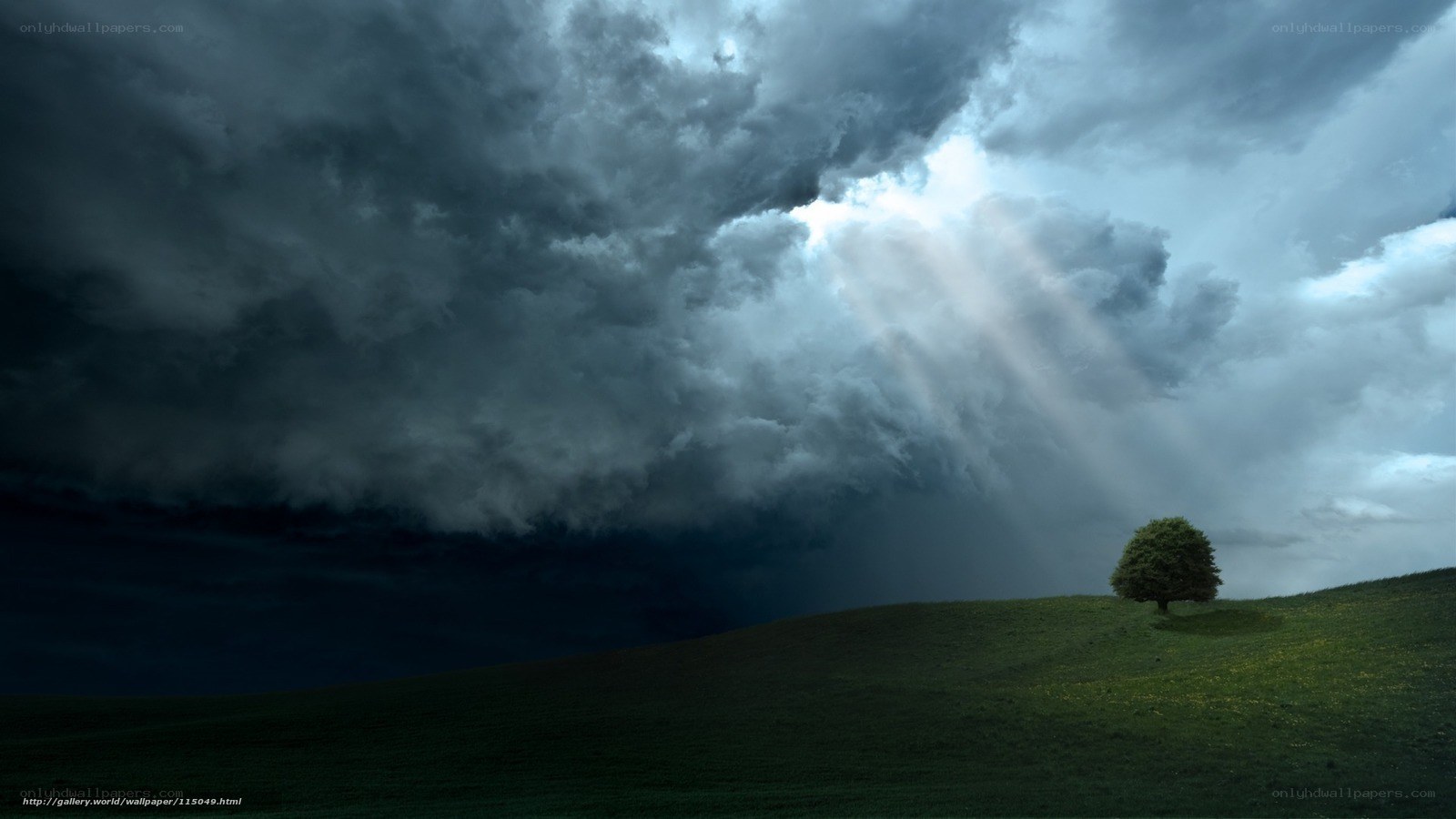 Stormy sky with single tree