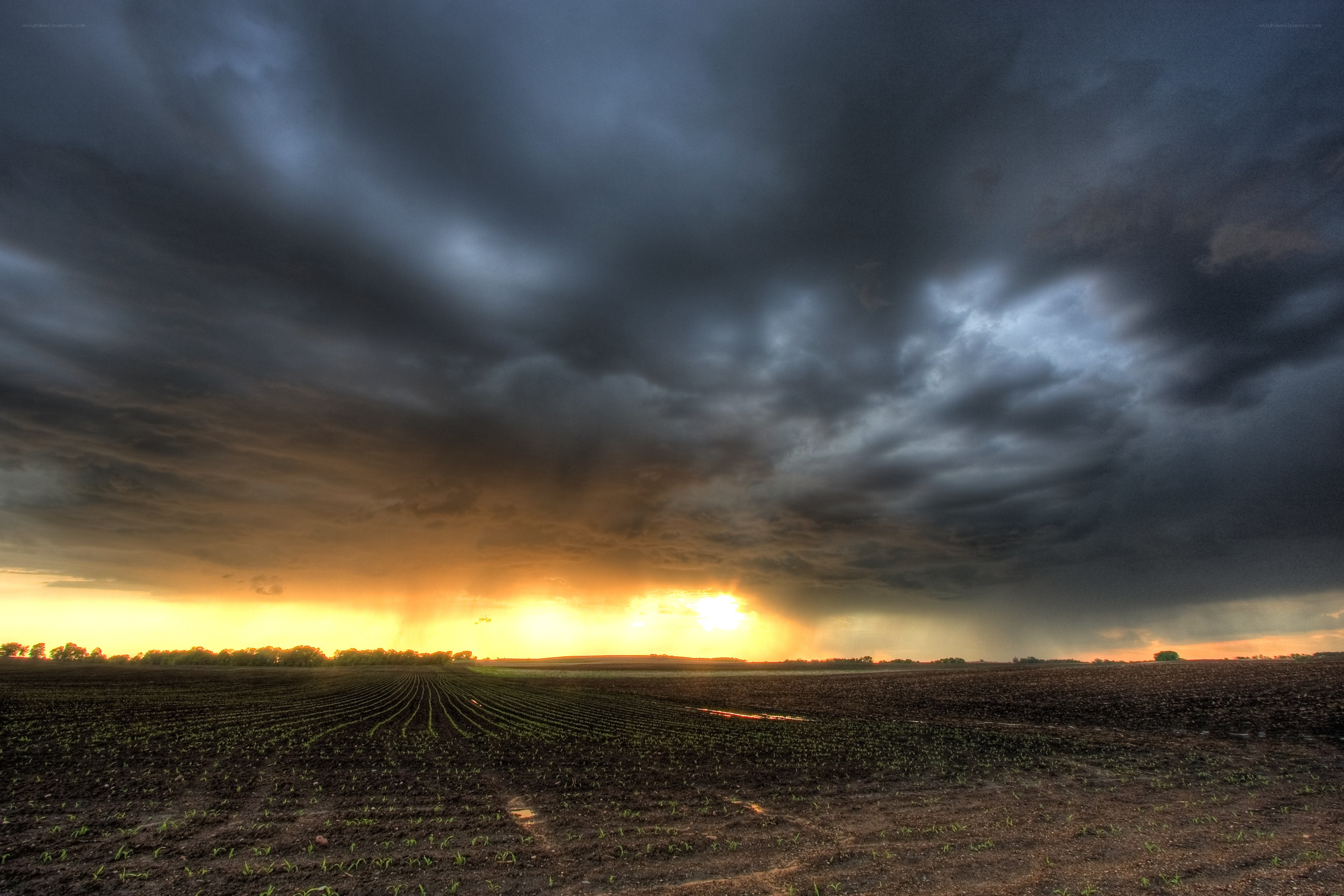 Stormy sunset over a field