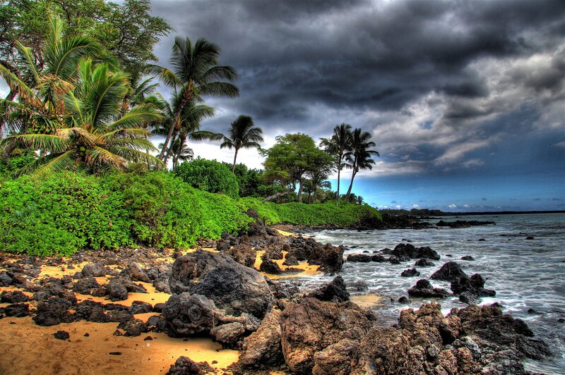 Stormy tropical beach with palm trees