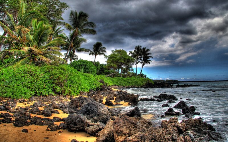 Stormy tropical coastline