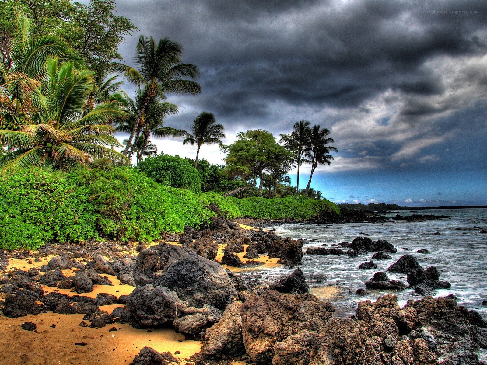 Stormy tropical coastline
